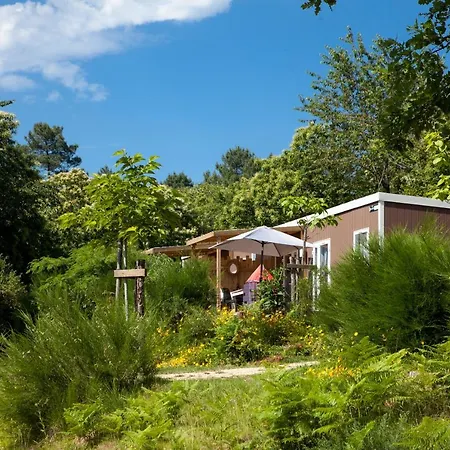 Camping Le Clou Coux-et-Bigaroque-Mouzens Esterno foto